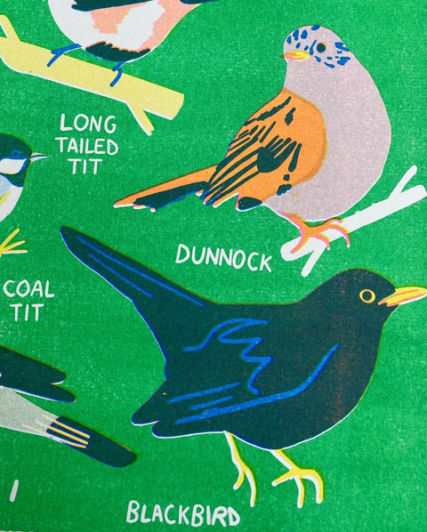 Garden Bird Risograph A3 Print - Sprouts of Bristol