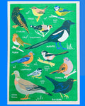 Garden Bird Risograph A3 Print - Sprouts of Bristol