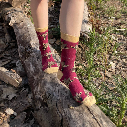 Giraffe Bamboo Socks - Sprouts of Bristol