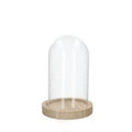 Glass Cloche Vessel with Wooden Base [Terrarium Supplies] - Sprouts of Bristol