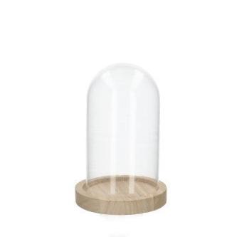 Glass Cloche Vessel with Wooden Base [Terrarium Supplies] - Sprouts of Bristol