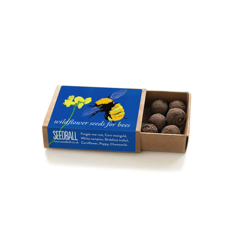 Great Yellow Bumblebee Seedball Box - Sprouts of Bristol