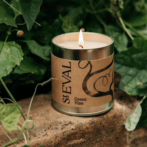 Green Vine Scented Tin Candle - Sprouts of Bristol