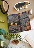 Hedgehog Enamel Pin – Designed by Ferne Creative - Sprouts of Bristol