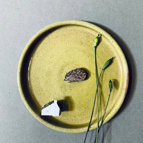 Hedgehog Mini Pin Brooch - Sprouts of Bristol