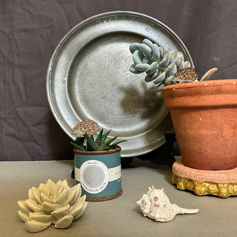 Hedgehog Plant Pot Companions - Sprouts of Bristol