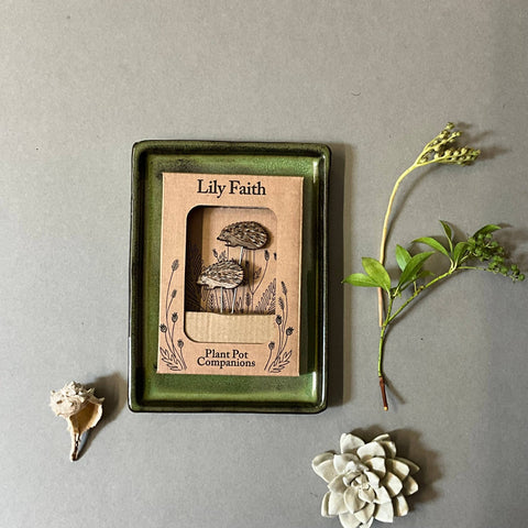 Hedgehog Plant Pot Companions - Sprouts of Bristol