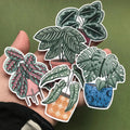 Hello Houseplants Sticker Pack - Sprouts of Bristol