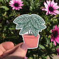 Hello Houseplants Sticker Pack - Sprouts of Bristol