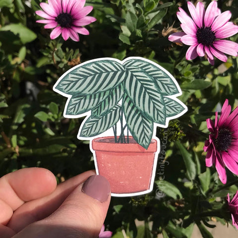 Hello Houseplants Sticker Pack - Sprouts of Bristol