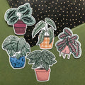 Hello Houseplants Sticker Pack - Sprouts of Bristol