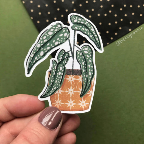 Hello Houseplants Sticker Pack - Sprouts of Bristol