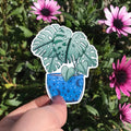 Hello Houseplants Sticker Pack - Sprouts of Bristol