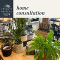 Home Consultation - Sprouts of Bristol