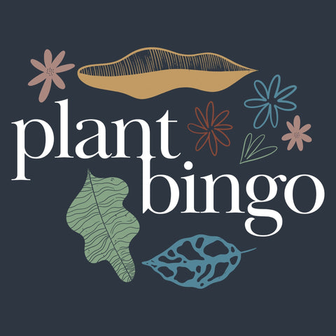 Houseplant Bingo at Sprouts HQ - Sprouts of Bristol