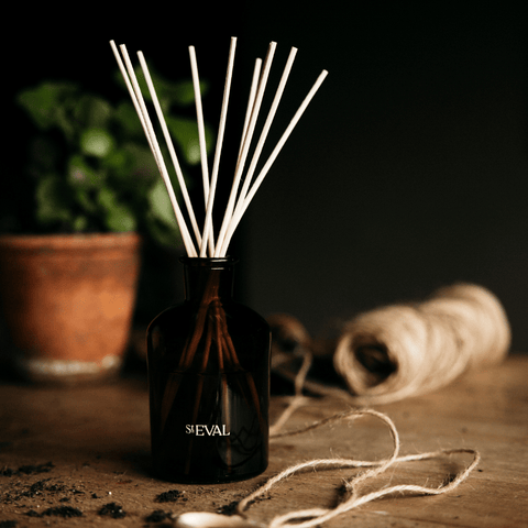 Inspiritus Reed Diffuser - Sprouts of Bristol