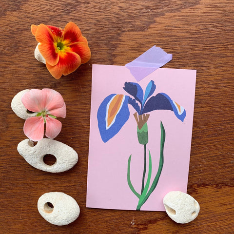 Iris Mini Card - Sprouts of Bristol