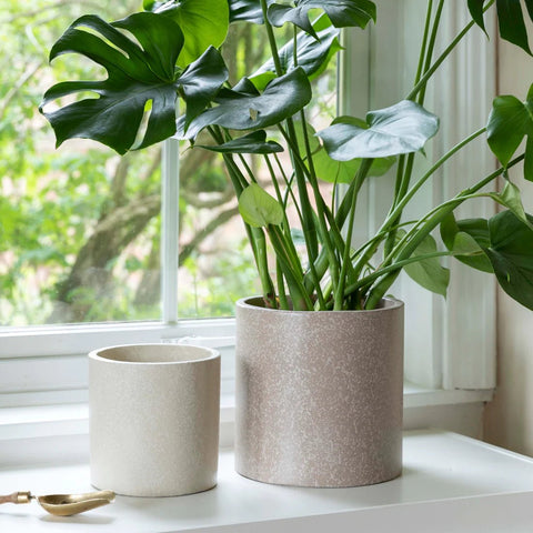 Ivory Valetta Terrazzo Style Cement Planter - Sprouts of Bristol