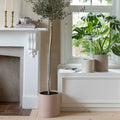 Ivory Valetta Terrazzo Style Cement Planter - Sprouts of Bristol