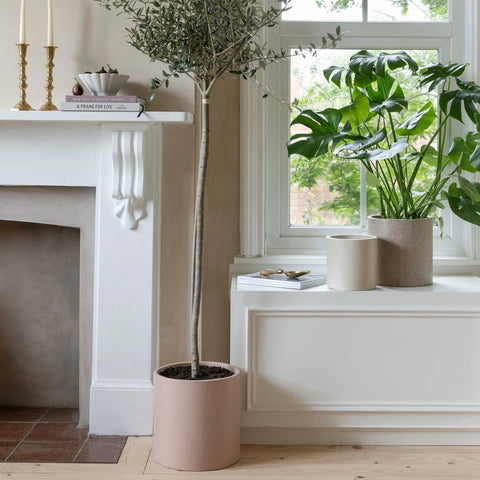 Ivory Valetta Terrazzo Style Cement Planter - Sprouts of Bristol