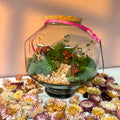 Iza Glass Valentine’s Bioactive Terrarium - Sprouts of Bristol