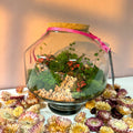 Iza Glass Valentine’s Bioactive Terrarium - Sprouts of Bristol