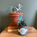 Kingfisher Plant Pot Companions  - Sprouts of Bristol