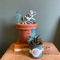 Kingfisher Plant Pot Companions  - Sprouts of Bristol