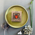Ladybird Mini Pin Brooch - Sprouts of Bristol