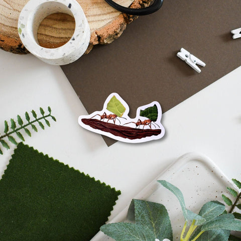 Leafcutter Ant Amazon Wildlife Vinyl Sticker [Beneath the Canopy RHS Collab] - Sprouts of Bristol