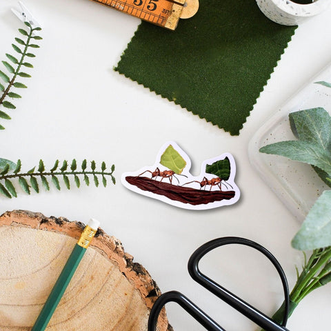 Leafcutter Ant Amazon Wildlife Vinyl Sticker [Beneath the Canopy RHS Collab] - Sprouts of Bristol