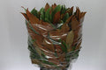 Magnolia Leaf Stem - Christmas Craft Wreath Florist Festive Decoration - Fresh Foliage - Sprouts of Bristol