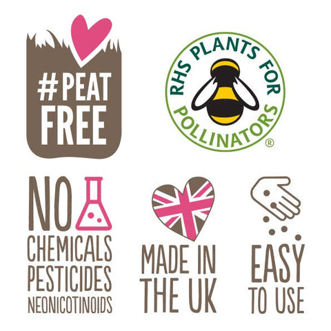 Make Your Own Seedball Kit - Flowers for Bees - Sprouts of Bristol