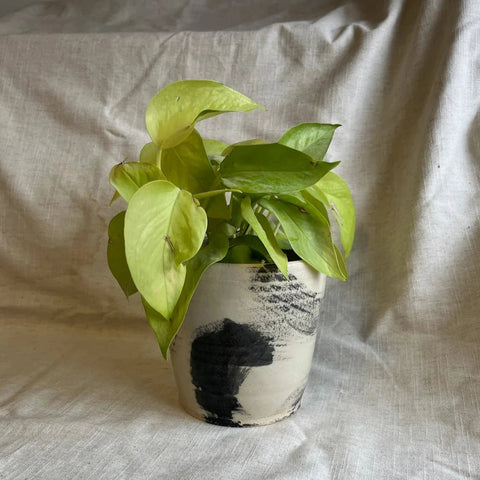 Makers Mark - Black and White Handmade Ceramic Plant Pot - Sprouts of Bristol