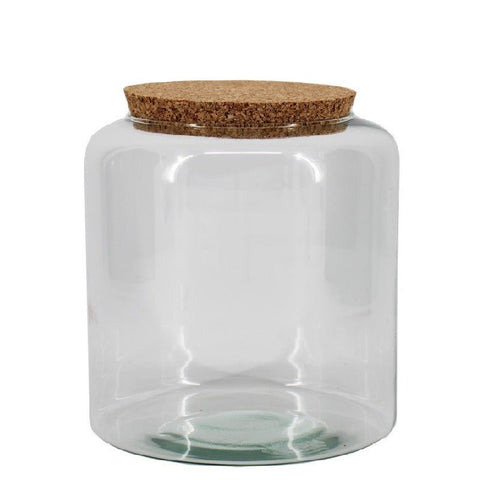 Mari Glass Vessel [Terrarium Supplies] - Sprouts of Bristol