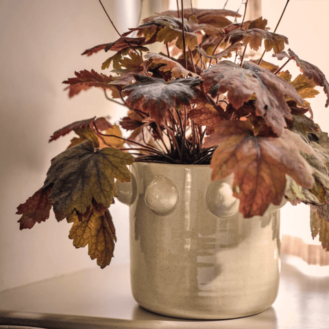 Milcombe Bobble Pot in Natural - Sprouts of Bristol