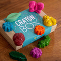 Minibeast wax Crayons - Sprouts of Bristol