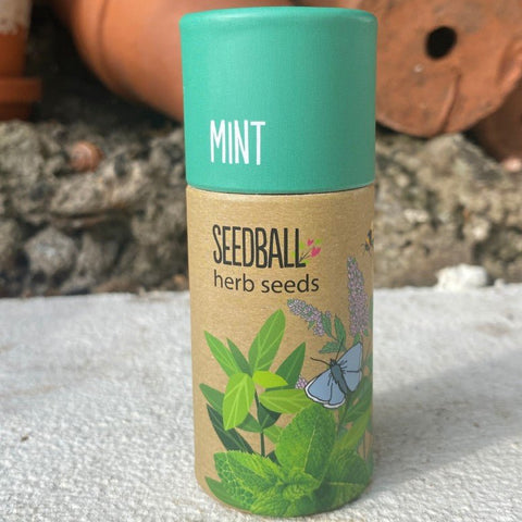 Mint Herb Garden Seedball Tubes - Sprouts of Bristol