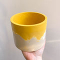 Mustard Yellow and Putty Jesmonite Pot - Sprouts of Bristol