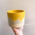 Mustard Yellow and Putty Jesmonite Pot - Sprouts of Bristol