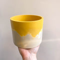 Mustard Yellow and Putty Jesmonite Pot - Sprouts of Bristol