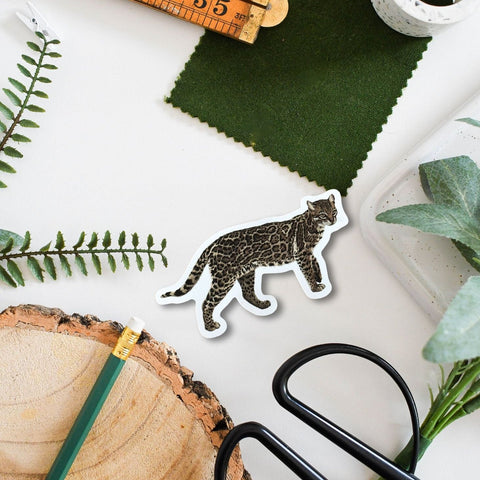 Ocelot Amazon Wildlife Vinyl Sticker [Beneath the Canopy RHS Collab] - Sprouts of Bristol