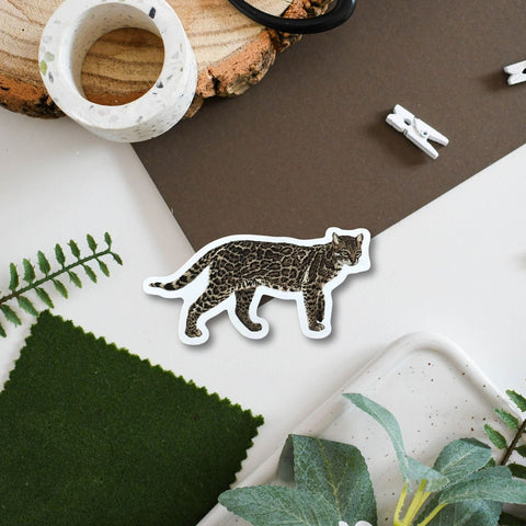 Ocelot Amazon Wildlife Vinyl Sticker [Beneath the Canopy RHS Collab] - Sprouts of Bristol