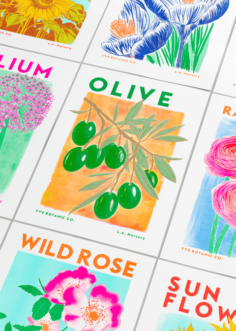 Olive Botanical Risograph Print - Sprouts of Bristol
