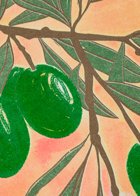 Olive Botanical Risograph Print - Sprouts of Bristol