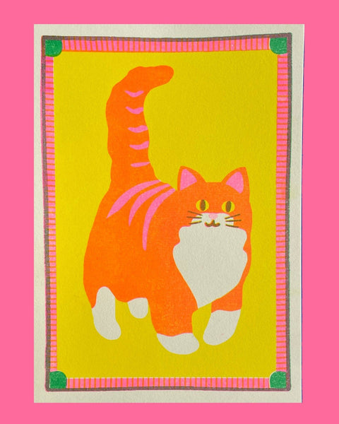 Orange Cat Mini Risograph A5 Print - Sprouts of Bristol