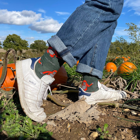 Orangutan Bamboo Socks - Sprouts of Bristol