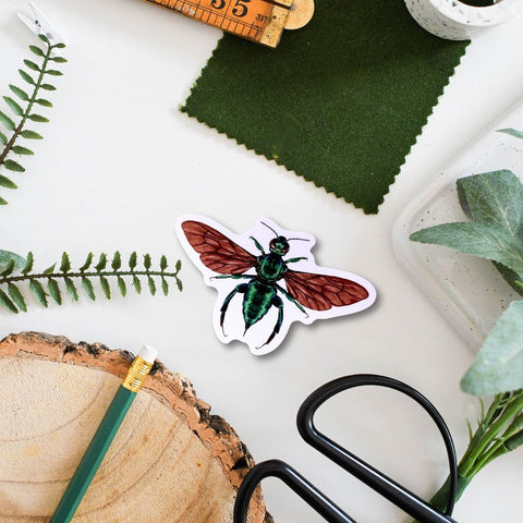 Orchid Bee Amazon Wildlife Vinyl Sticker [Beneath the Canopy RHS Collab] - Sprouts of Bristol