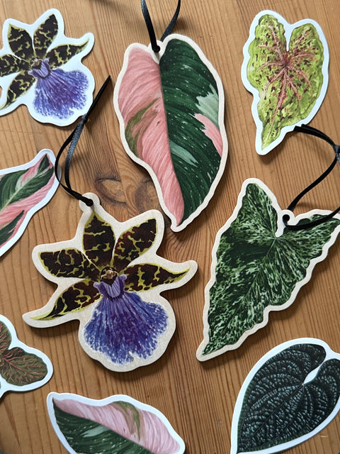 Philodendron ‘Pink Princess’ Wooden Decoration [Beneath the Canopy RHS Collab] - Sprouts of Bristol