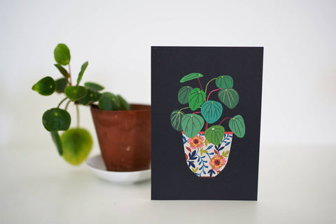 Pilea Greetings Card - Sprouts of Bristol